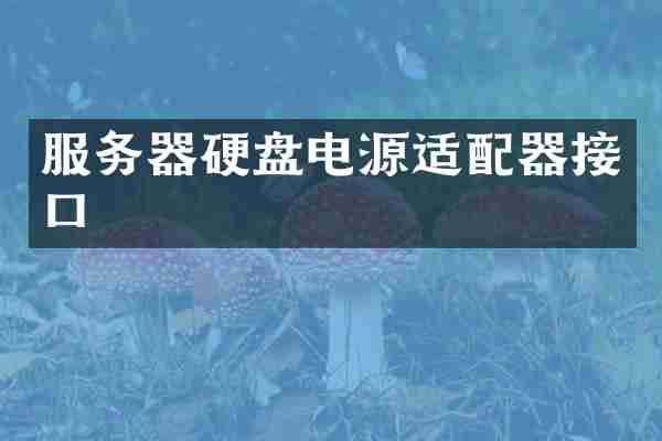 服务器硬盘电源适配器接口