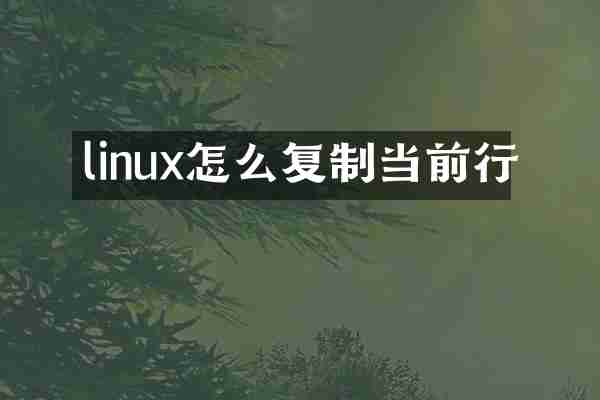 linux怎么复制当前行