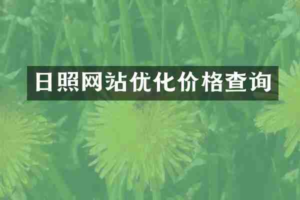 日照网站优化价格查询