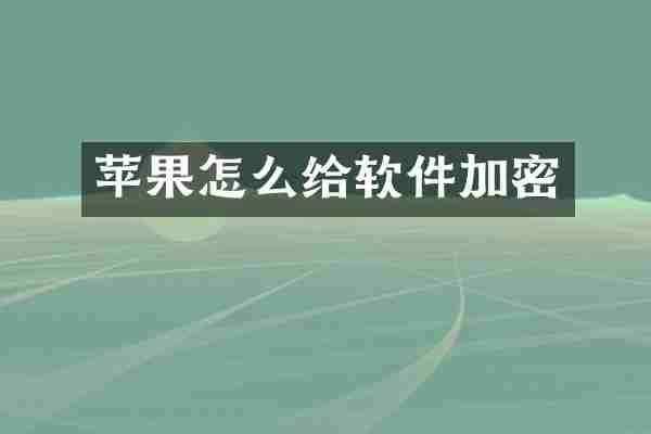 苹果怎么给软件加密