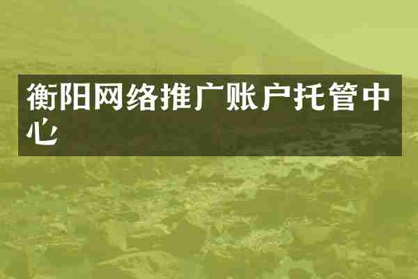 衡阳网络推广账户托管中心