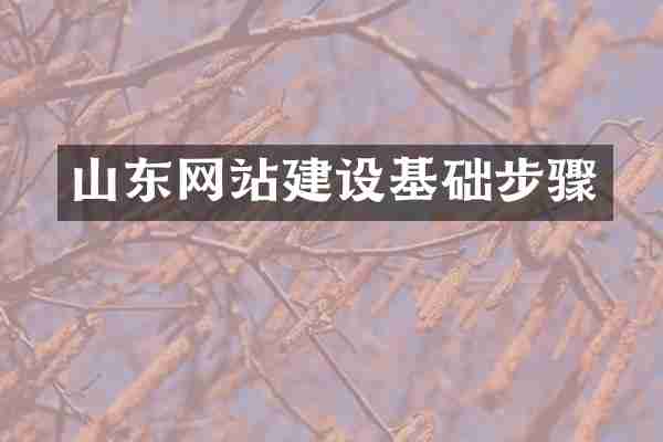 山东网站建设基础步骤