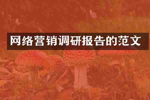 网络营销调研报告的范文