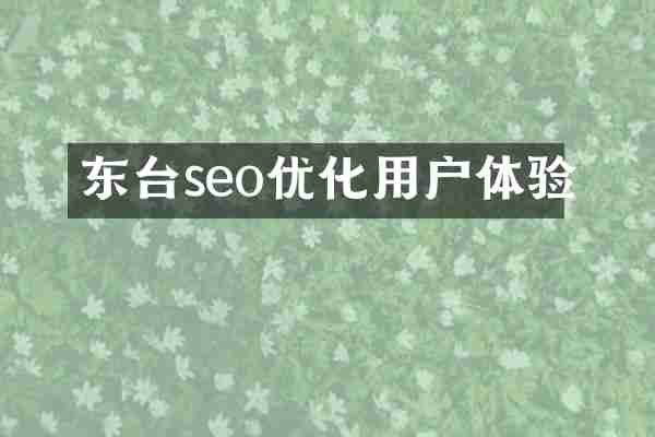 东台seo优化用户体验
