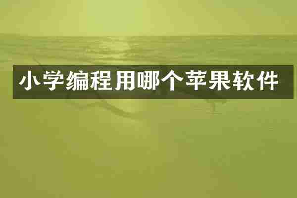 小学编程用哪个苹果软件