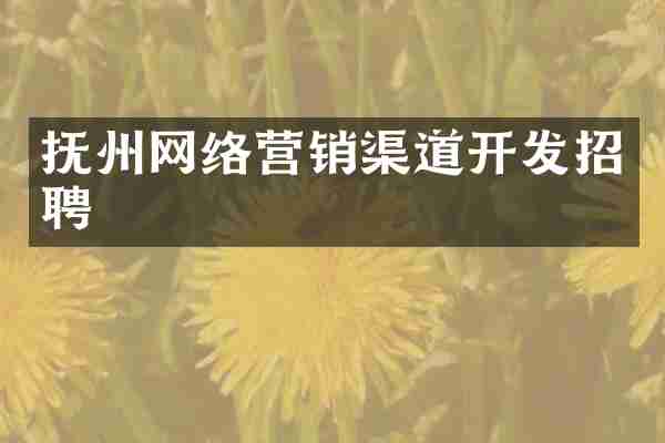 抚州网络营销渠道开发招聘