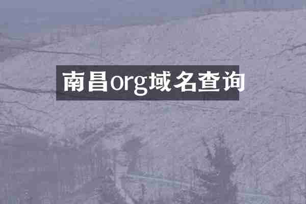 南昌org域名查询