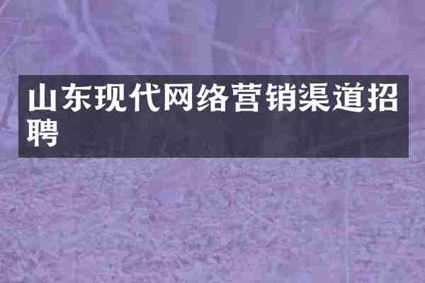 山东现代网络营销渠道招聘
