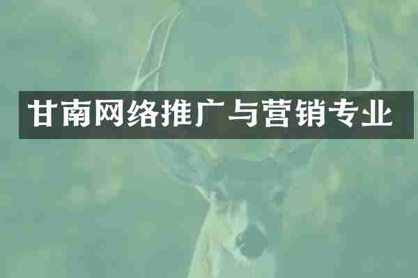 甘南网络推广与营销专业