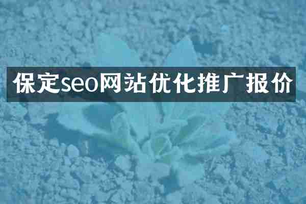保定seo网站优化推广报价