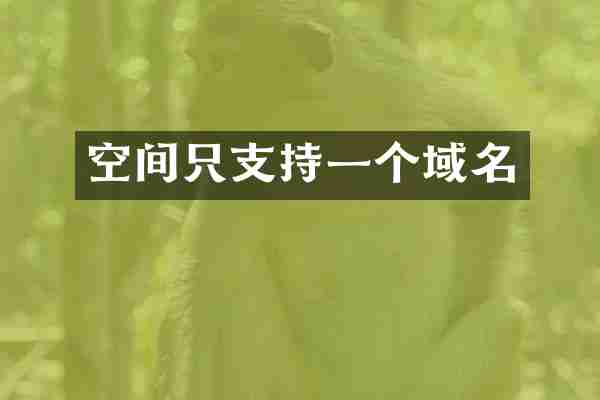 空间只支持一个域名