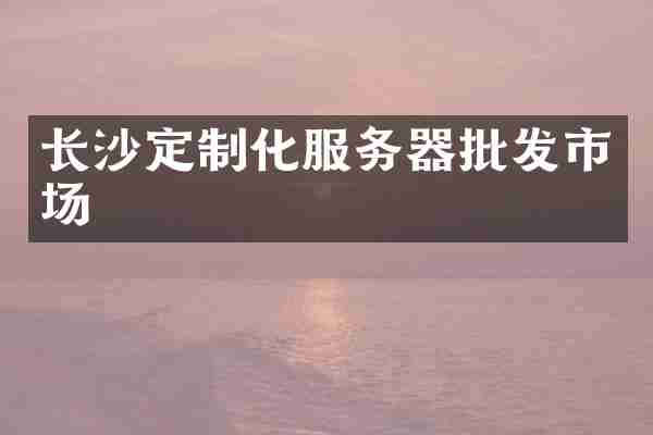 长沙定制化服务器批发市场
