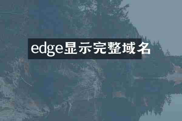 edge显示完整域名