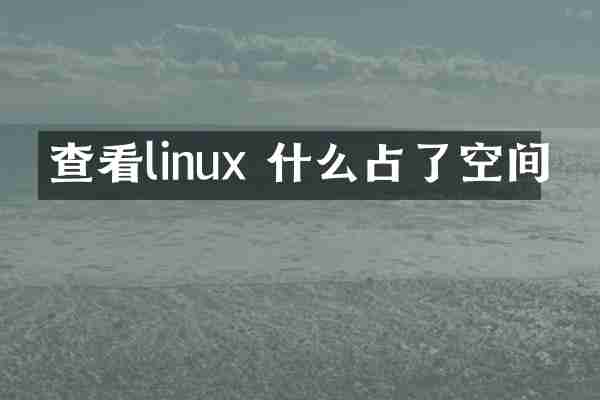 查看linux 什么占了空间