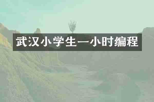 武汉小学生一小时编程