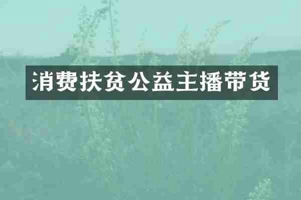 消费扶贫公益主播带货