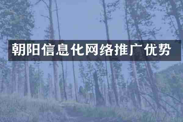 朝阳信息化网络推广优势