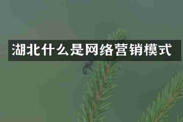湖北什么是网络营销模式