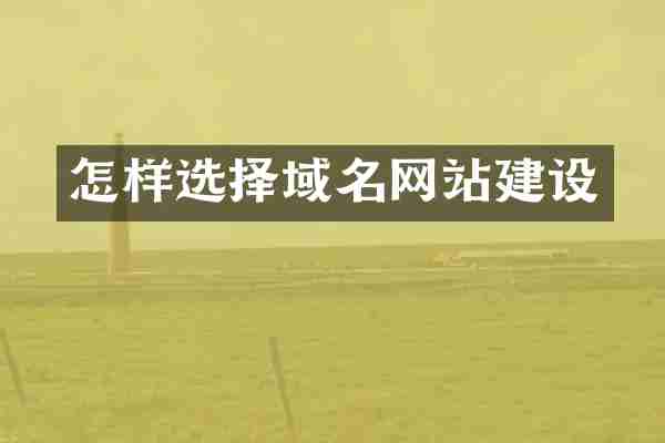怎样选择域名网站建设