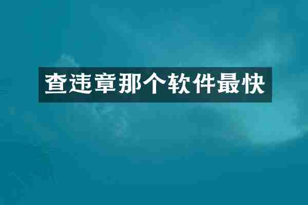 查违章那个软件最快