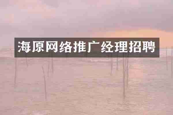 海原网络推广经理招聘