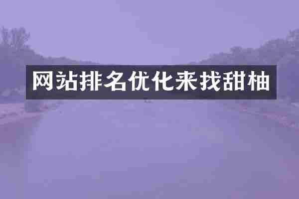 网站排名优化来找甜柚