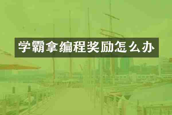 学霸拿编程奖励怎么办