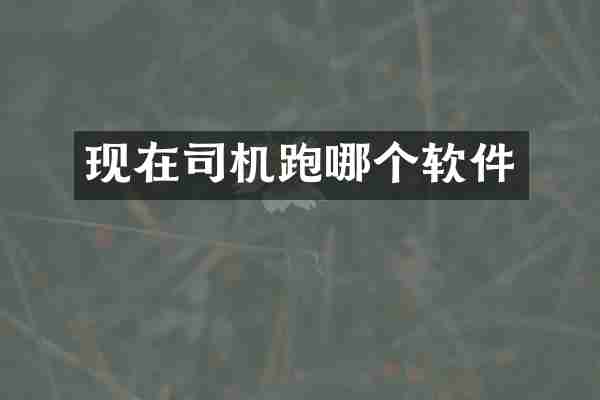 现在司机跑哪个软件