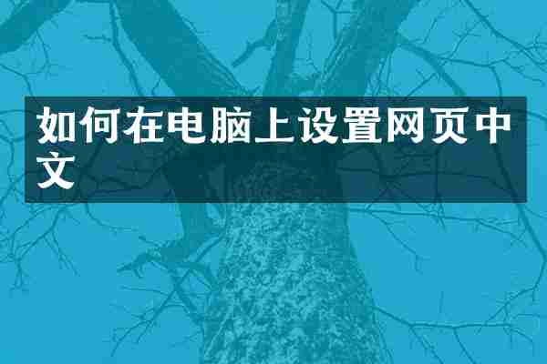 如何在电脑上设置网页中文