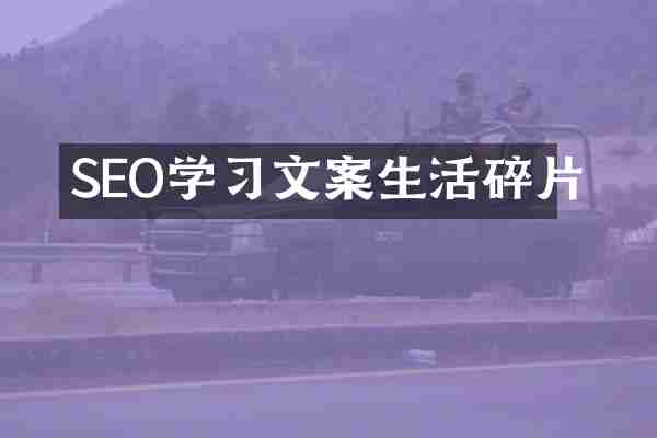 SEO学习文案生活碎片