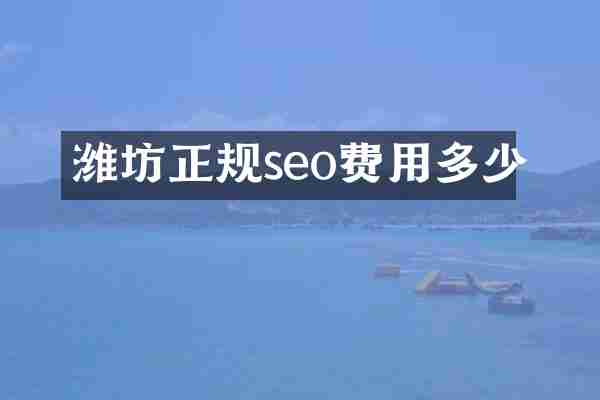 潍坊正规seo费用多少