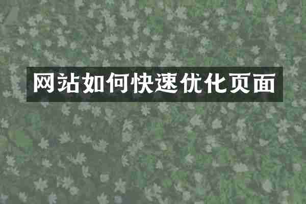网站如何快速优化页面