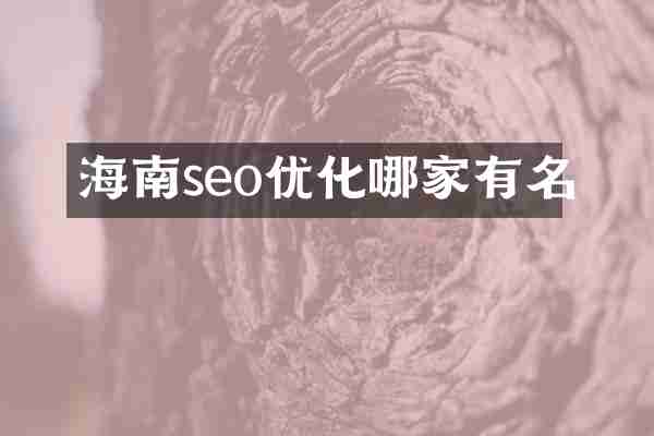 海南seo优化哪家有名