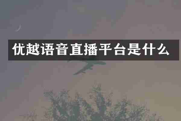 优越语音直播平台是什么