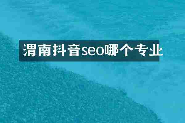 渭南抖音seo哪个专业