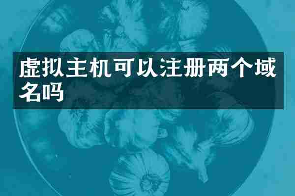 虚拟主机可以注册两个域名吗