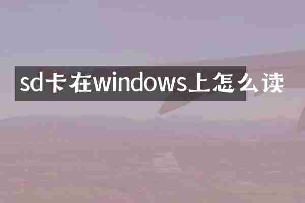 sd卡在windows上怎么读