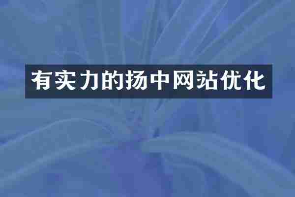 有实力的扬中网站优化