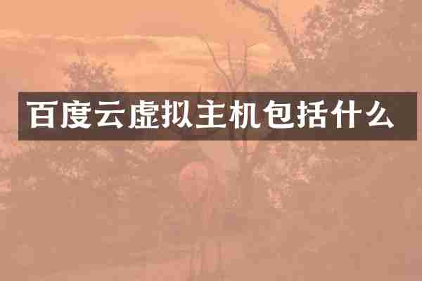 百度云虚拟主机包括什么