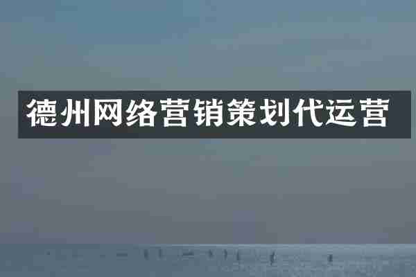 德州网络营销策划代运营