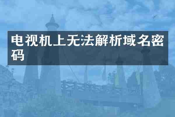 电视机上无法解析域名密码