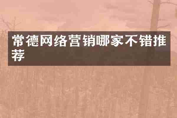 常德网络营销哪家不错推荐