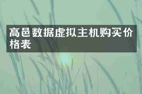 高邑数据虚拟主机购买价格表