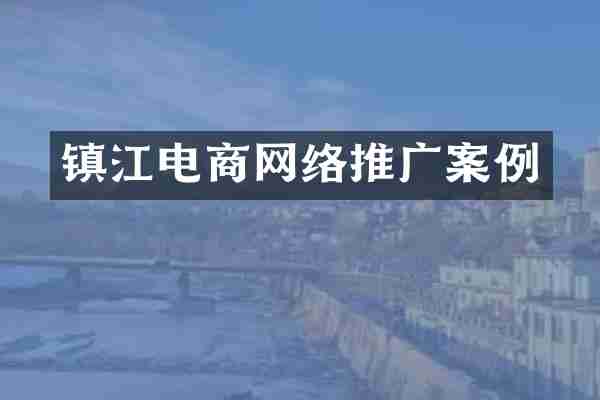 镇江电商网络推广案例