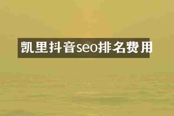 凯里抖音seo排名费用