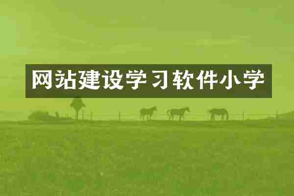 网站建设学习软件小学