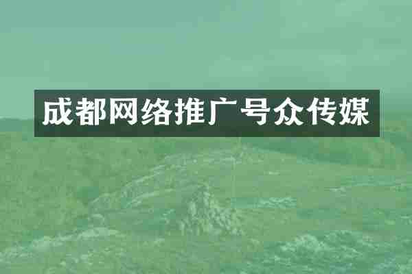 成都网络推广号众传媒