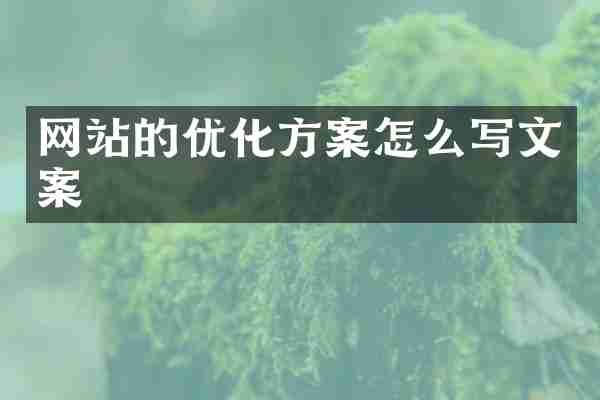 网站的优化方案怎么写文案