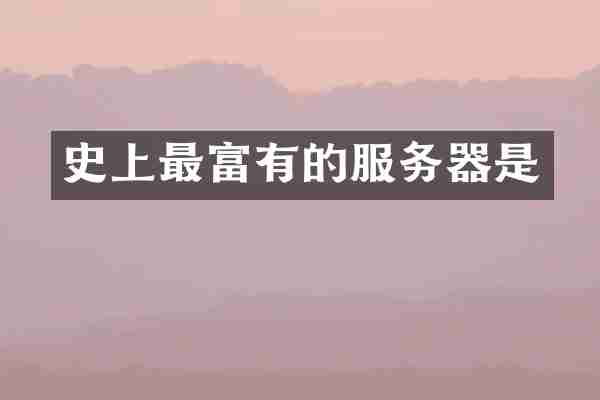 史上最富有的服务器是