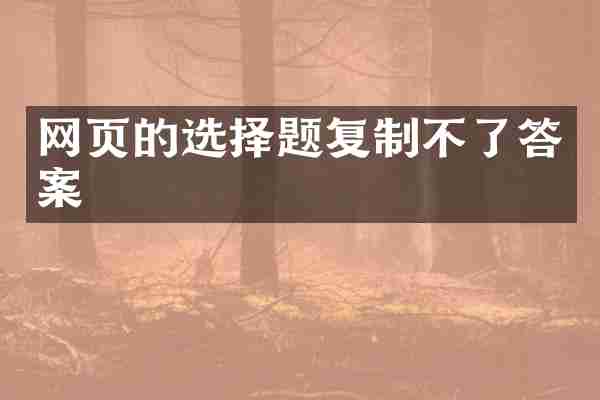 网页的选择题复制不了答案